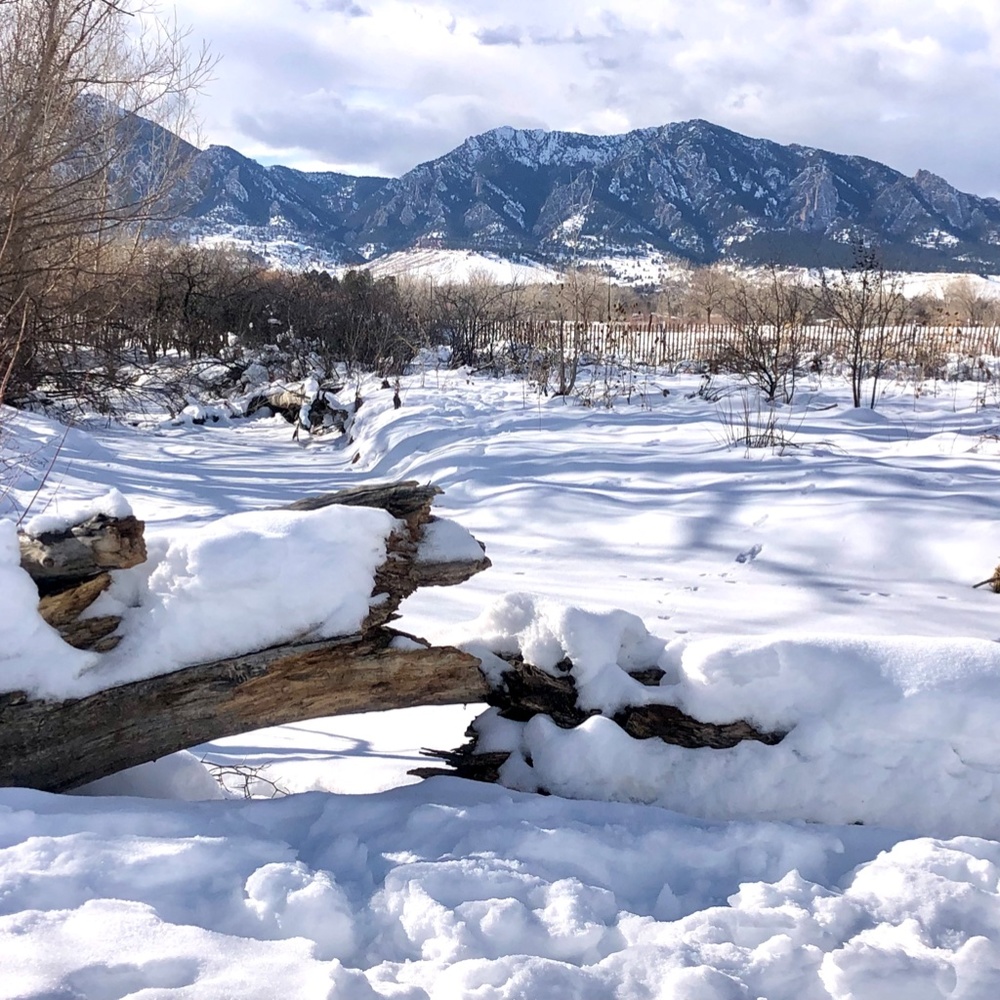 Meet your Posher, Riri - Picture 2 of 2